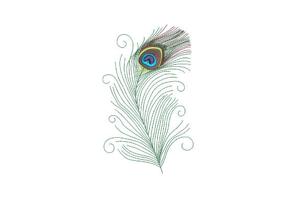 Reviewing Peacock Feather with Swirls for Gifts