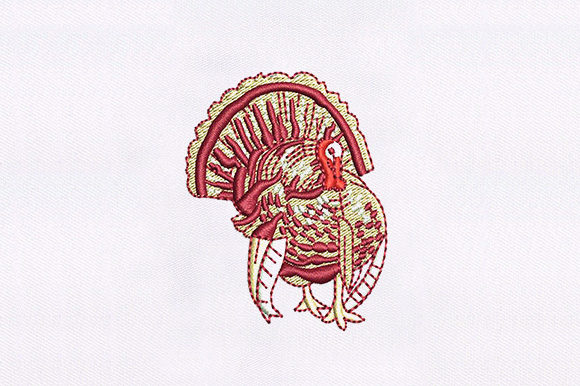 Turkey Embroidery Design: A Designer’s Holiday Review